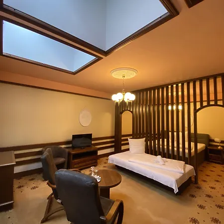 布尔诺公园酒店 酒店 4*